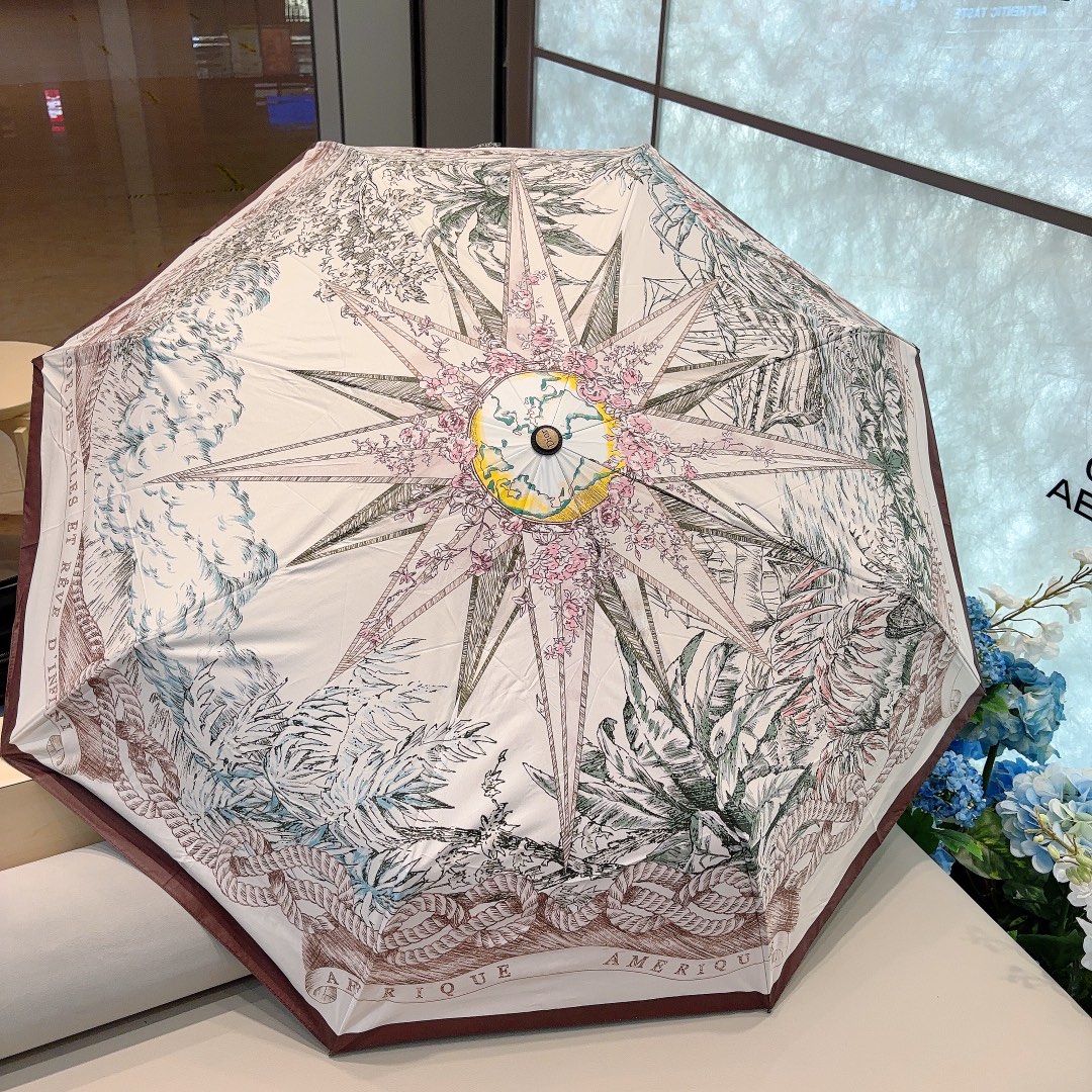 Dior Umbrella