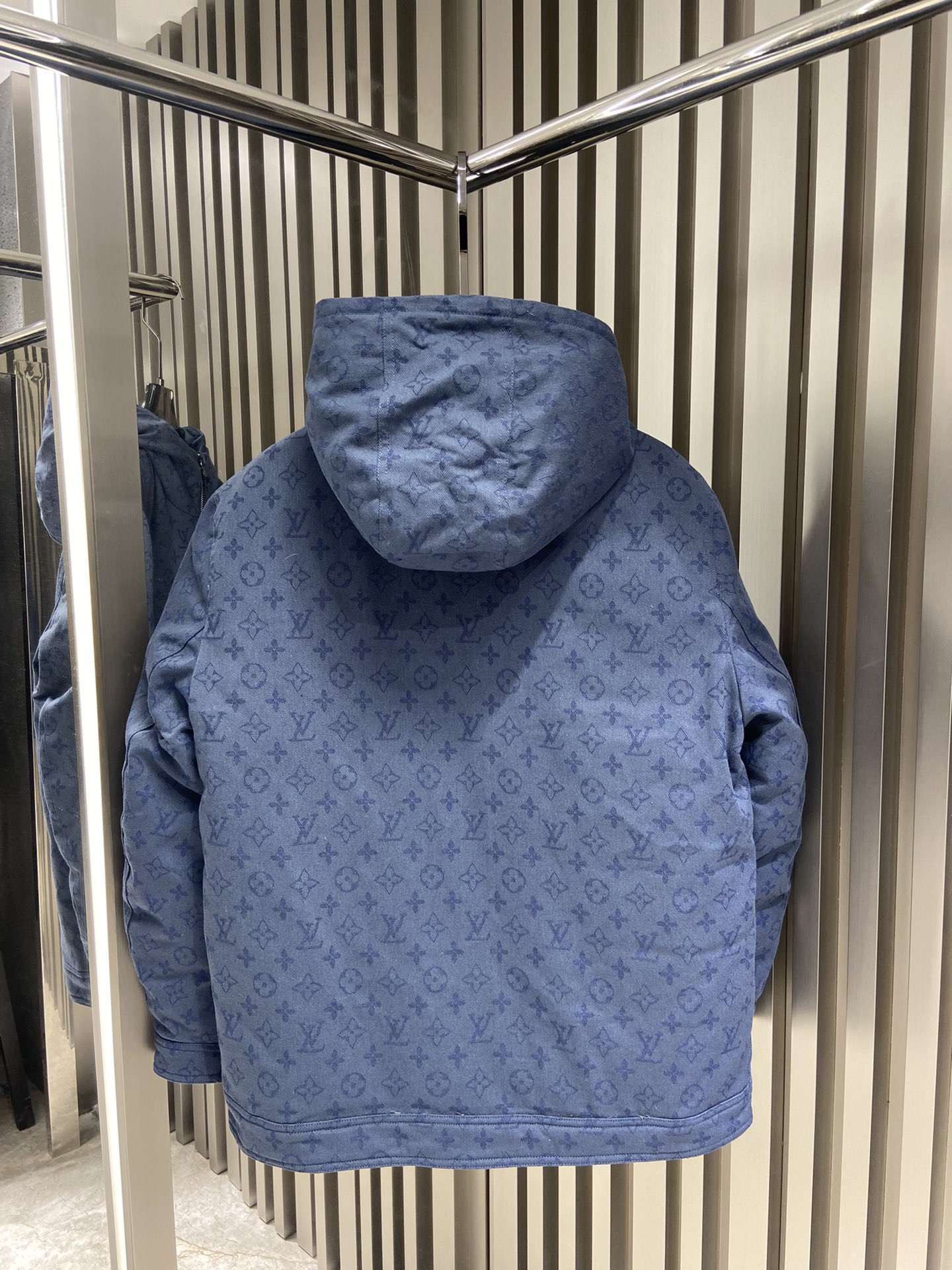 Louis Vuitton Unisex Down Jacket Size S-XL