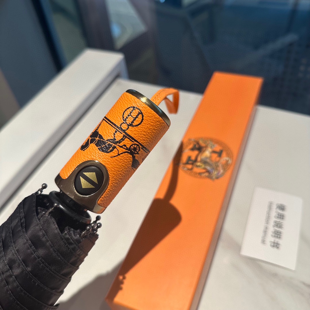 Hermes Umbrella