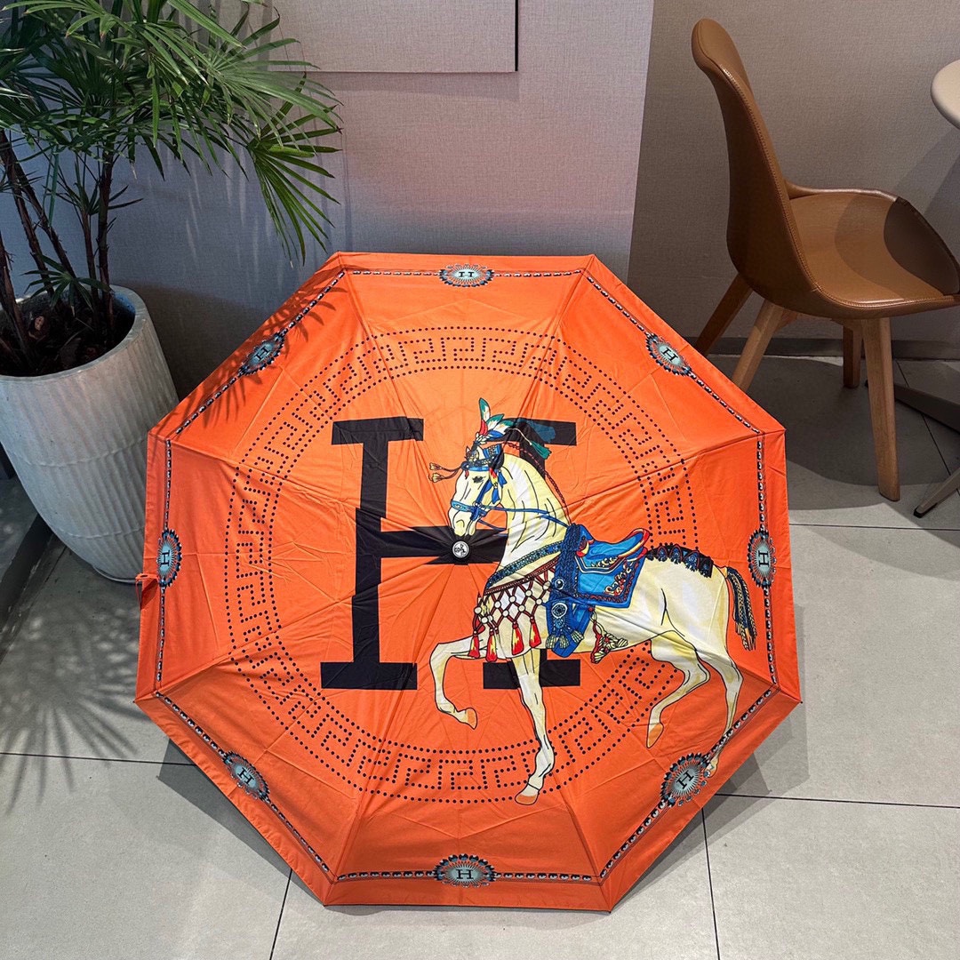 Hermes Umbrella