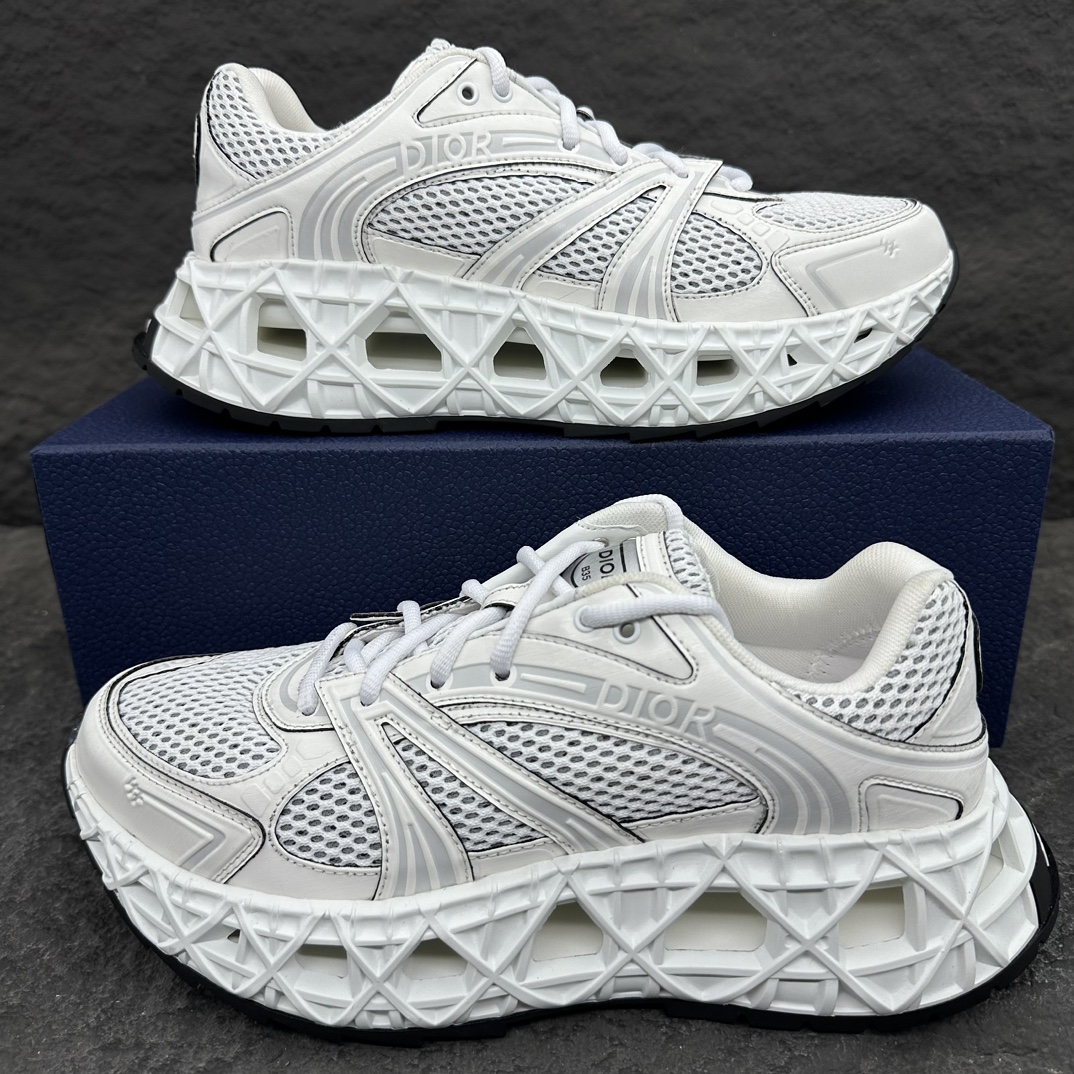 Dior B35 Men Sneaker Size 40-46