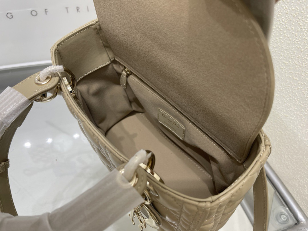 Dior Lady Women Shoulder Bags 24*20*11cm