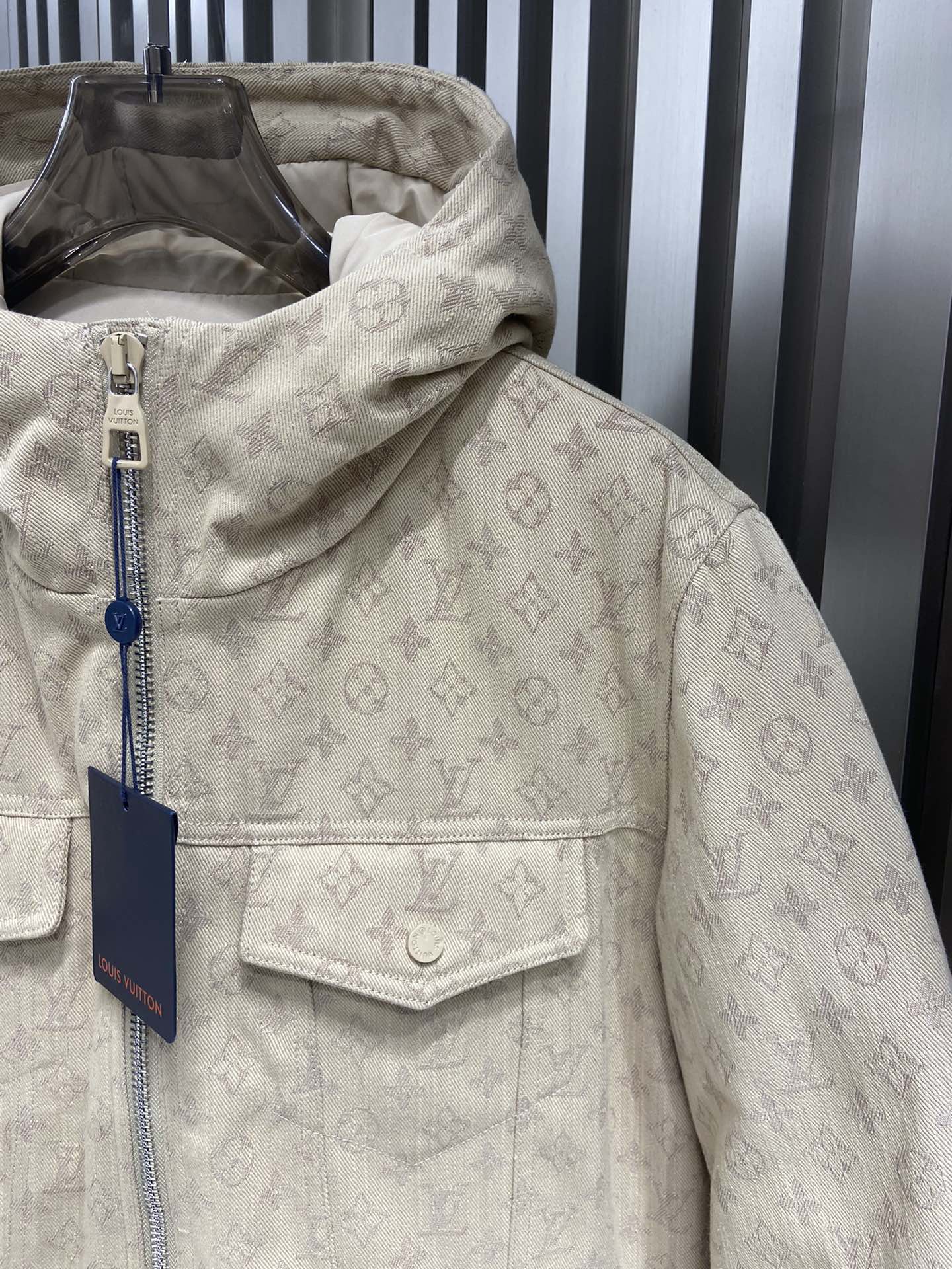 Louis Vuitton Unisex Down Jacket Size S-XL