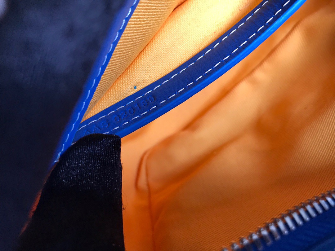 Goyard Cap-Vert Shoulder Bags Size 22.5*13*7cm