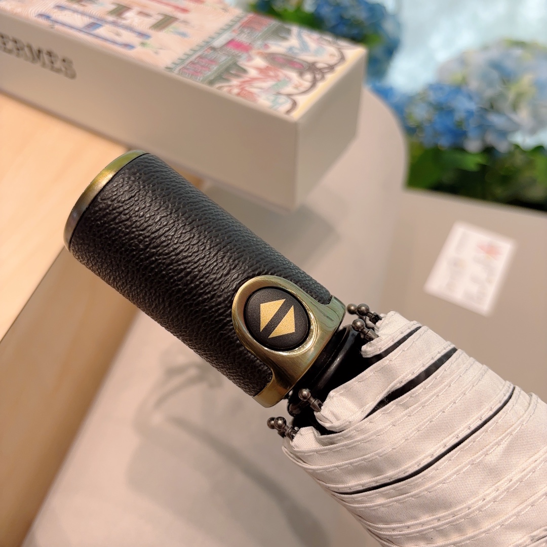 Hermes Umbrella