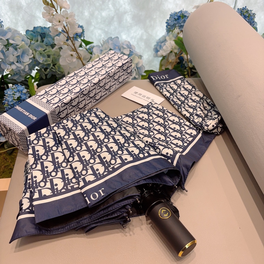 Dior Umbrella