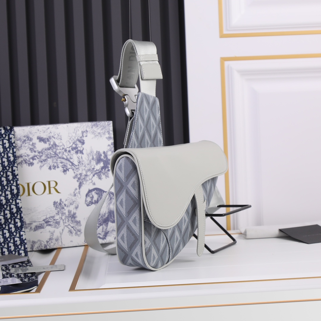 Dior 2022SS Pre-Fall Saddle Men Shoulder Bags 20*28.6*5cm