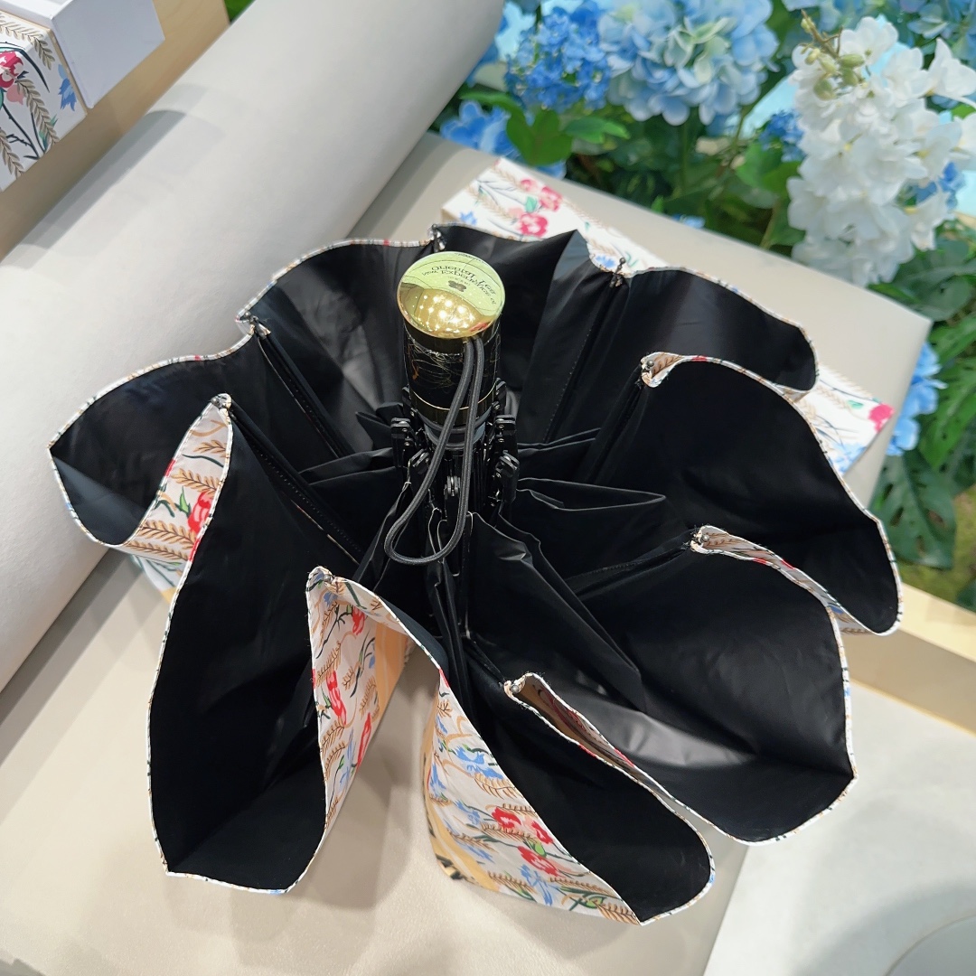 Dior Umbrella