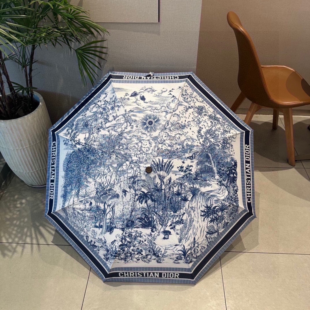 Dior Umbrella