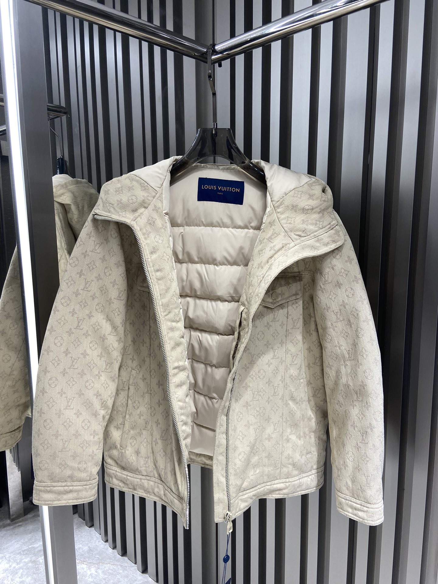Louis Vuitton Unisex Down Jacket Size S-XL