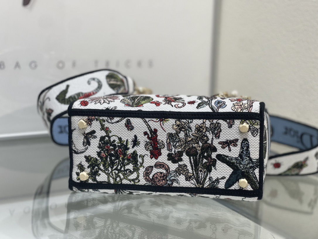 Dior Lady Women Shoulder Bags 24*20*11cm