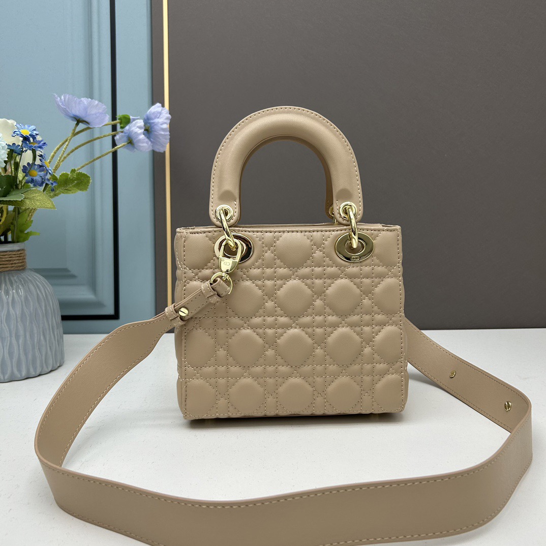 Dior Mini Lady Women Shoulder Bags 20*17*9cm