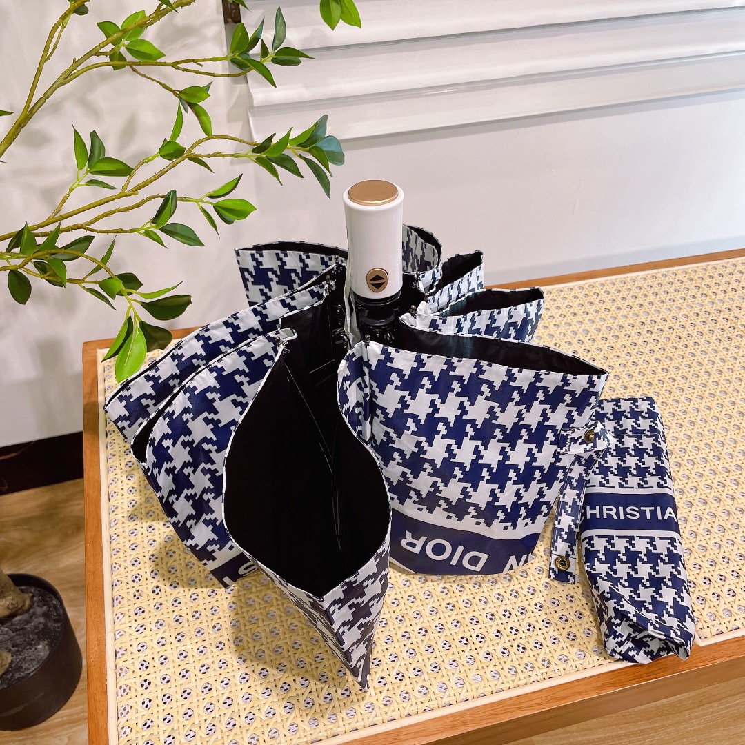 Dior Umbrella