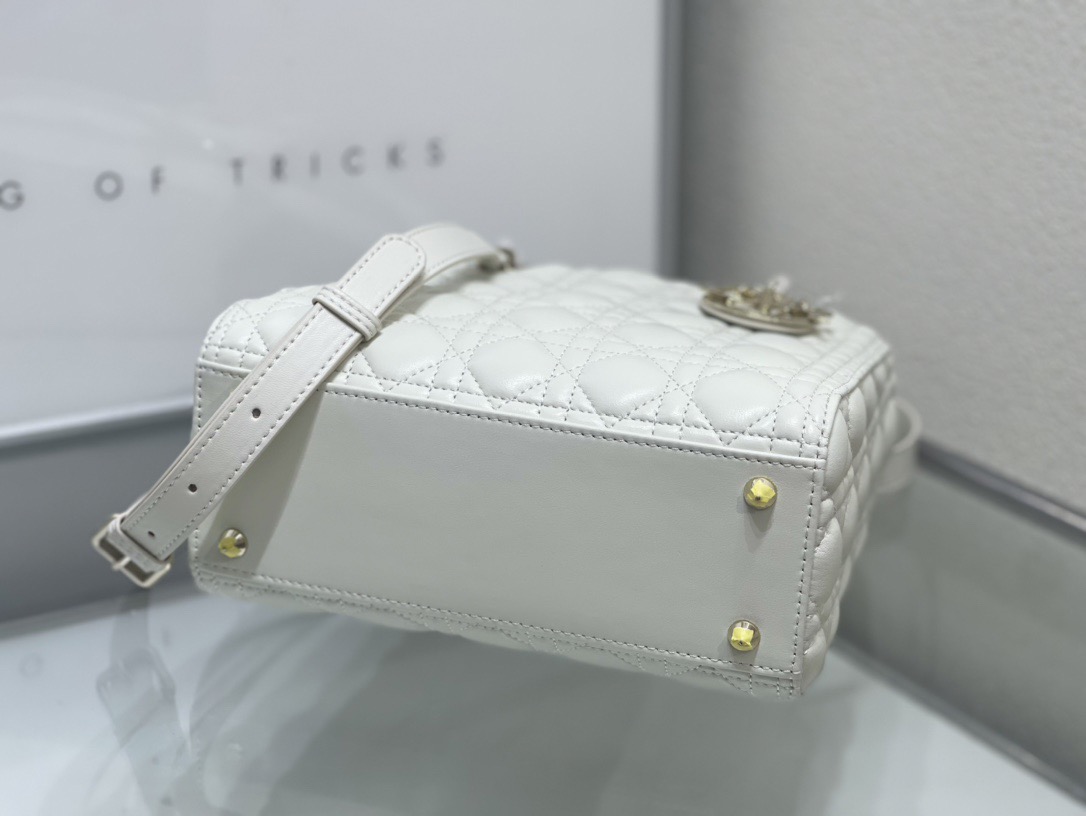 Dior Lady Women Shoulder Bags 24*20*11cm