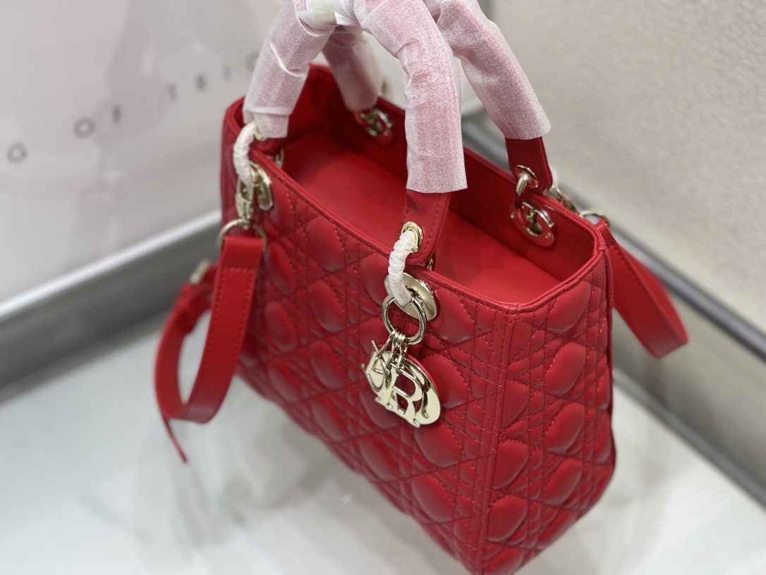 Dior Lady Women Shoulder Bags 24*20*11cm