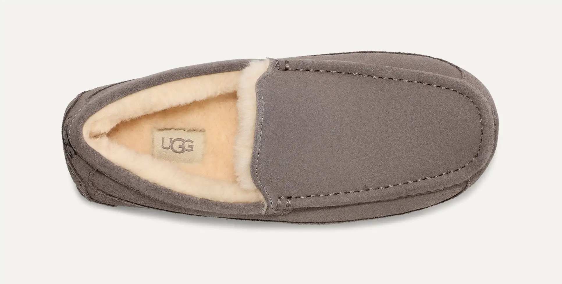 UGG Men's Ascot