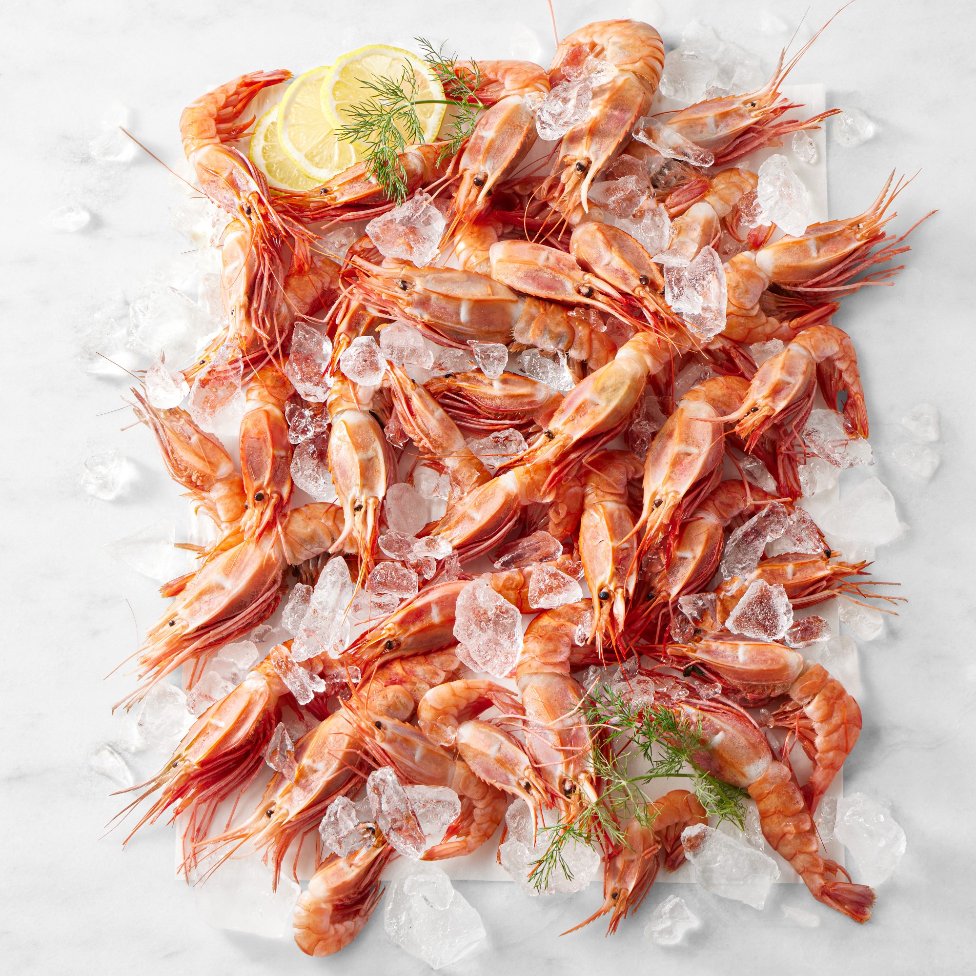 Hawaiian Aka Ebi Sweet Shrimp, 3lbs
