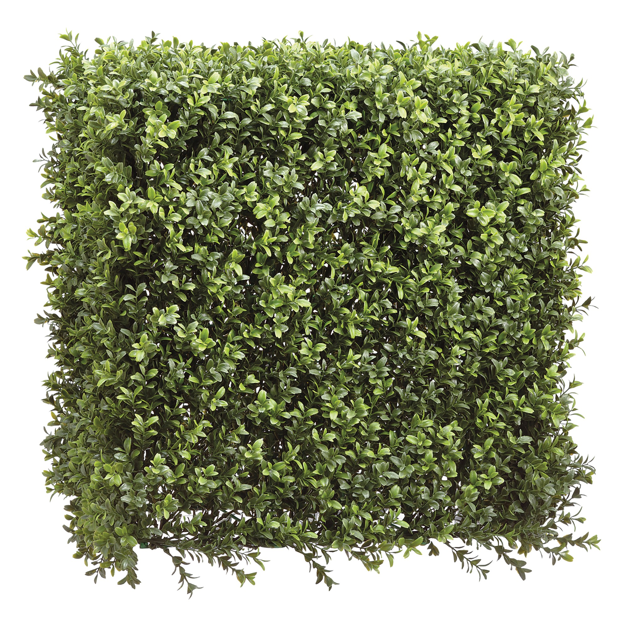 UV Protected Faux Boxwood Square Hedge, 20