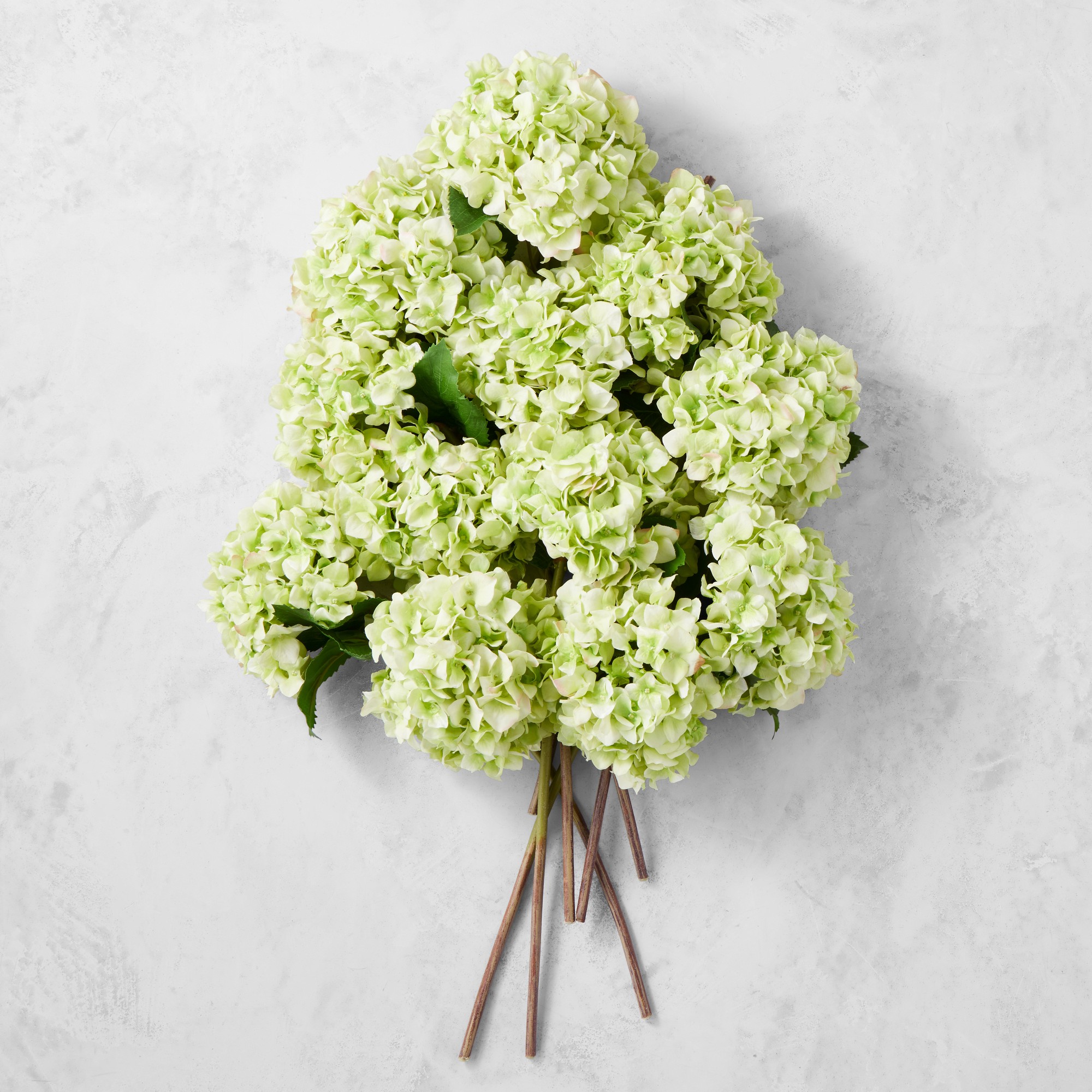 Jeff Leatham x Williams Sonoma Real Touch Faux Light Green Hydrangea Stems, Set of 12
