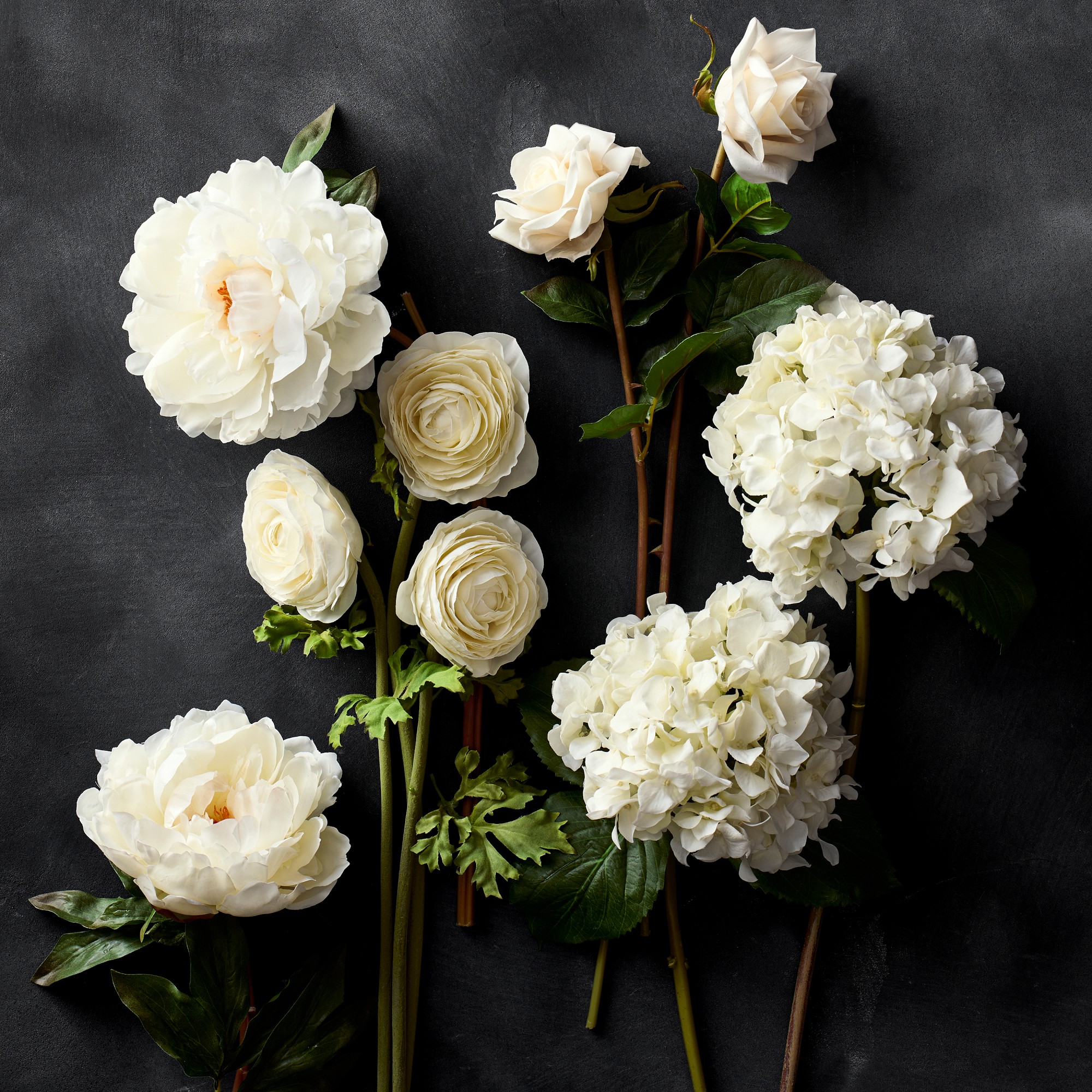 Jeff Leatham x Williams Sonoma Real Touch Faux White Ranunculus Stems, Set of 12