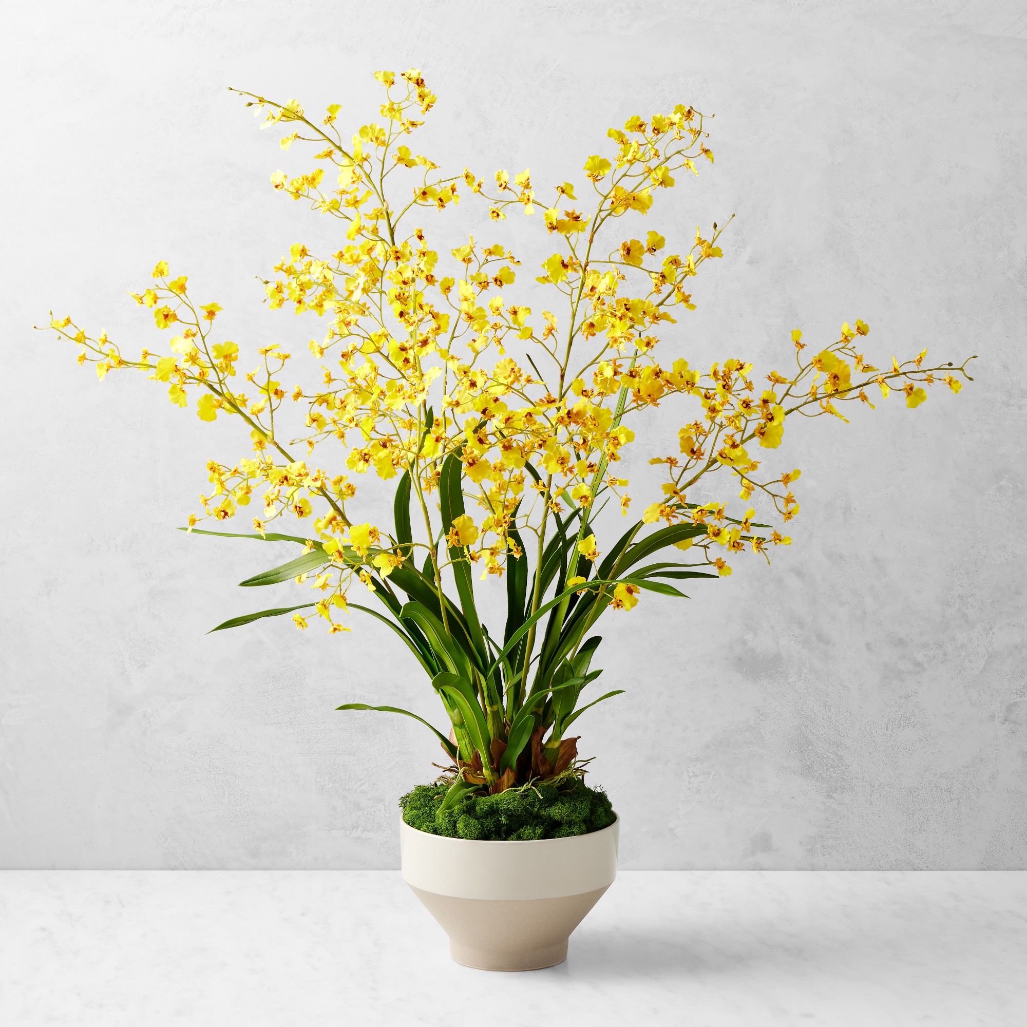 Jeff Leatham x Williams Sonoma Faux Dancing Oncidium Orchids in Tapered Bowl, 38
