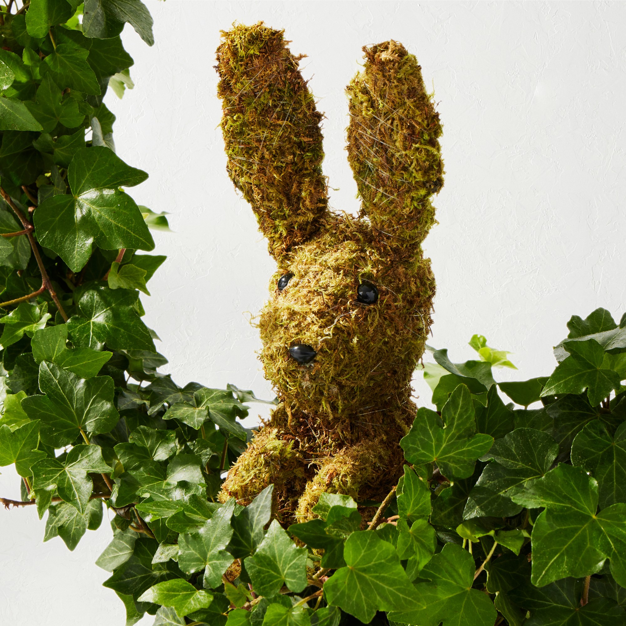 Easter Bunny in Circular Topiary