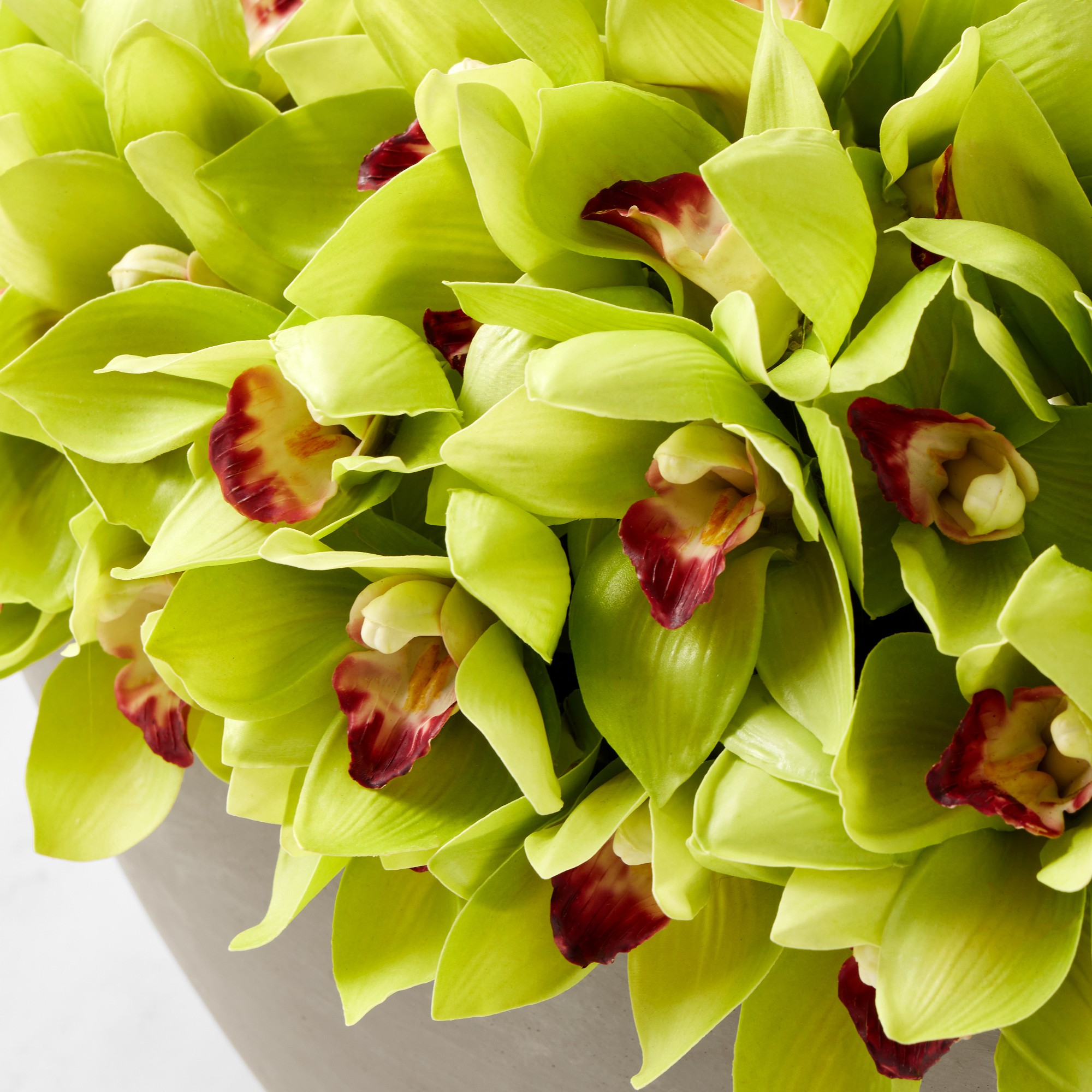 Jeff Leatham x Williams Sonoma Faux Green Cymbidium Orchid in Oval Bowl
