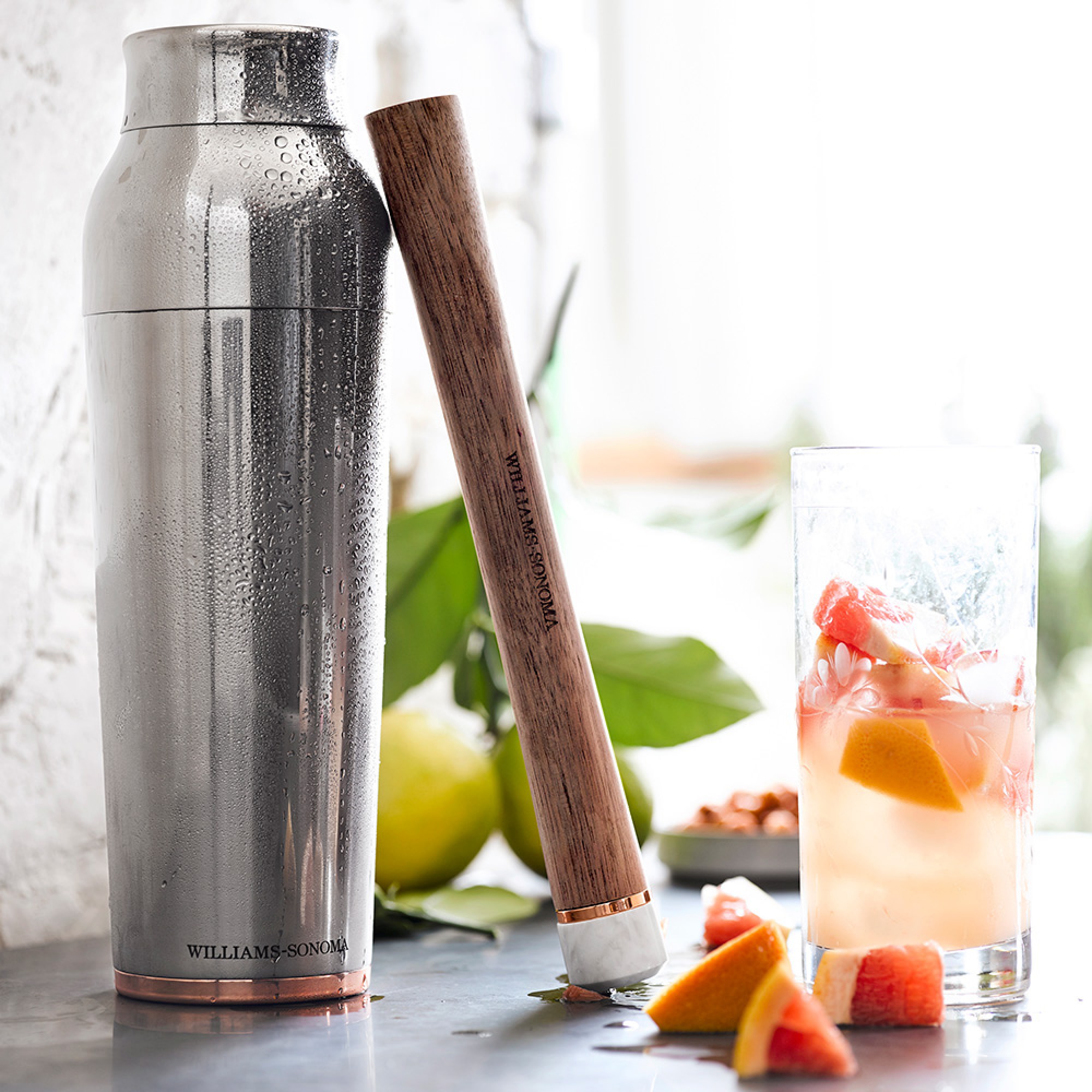 Williams Sonoma Signature Single-Wall Cocktail Shaker