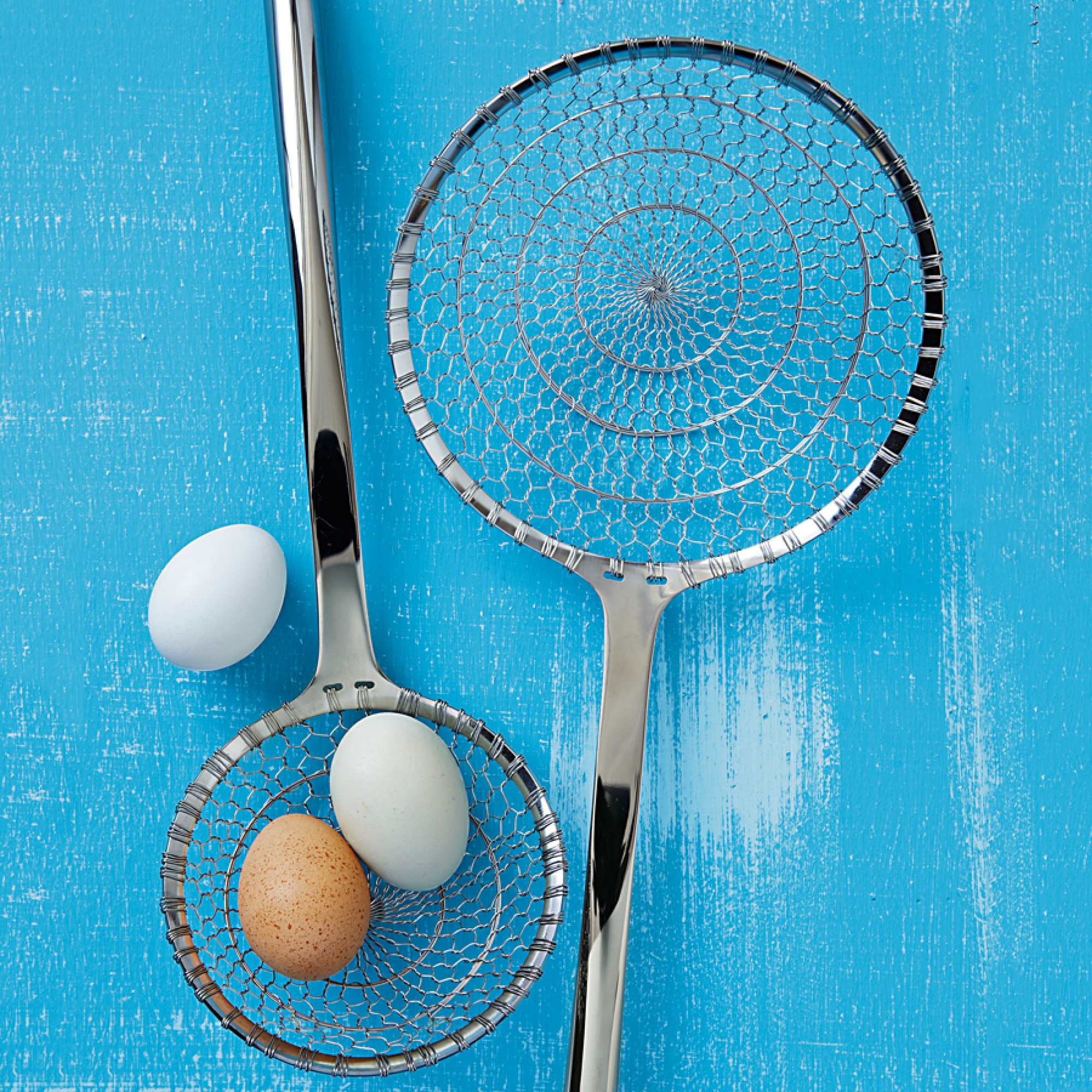 Williams Sonoma Signature Stainless Steel Spider Strainer