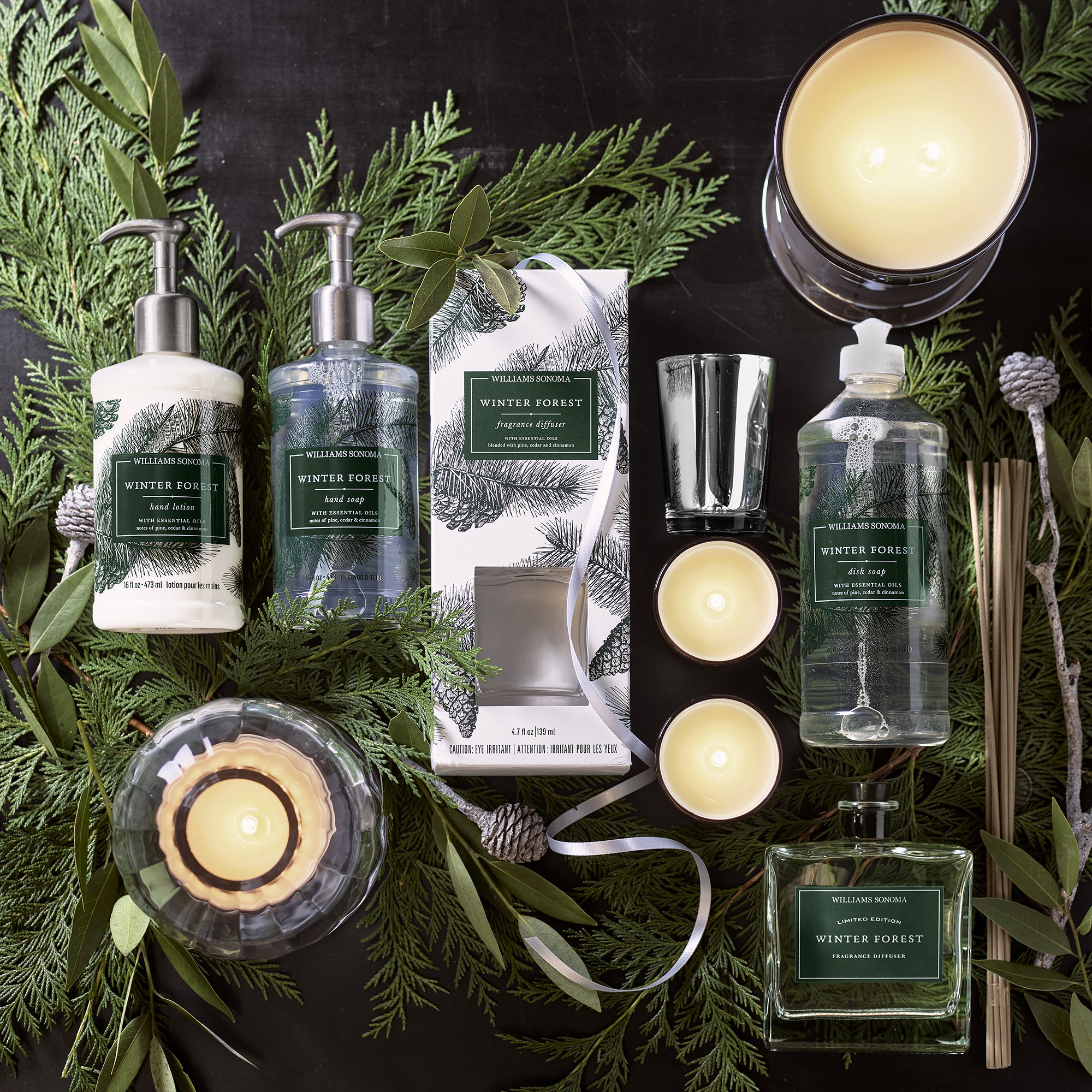 Williams Sonoma Winter Forest Hand Soap
