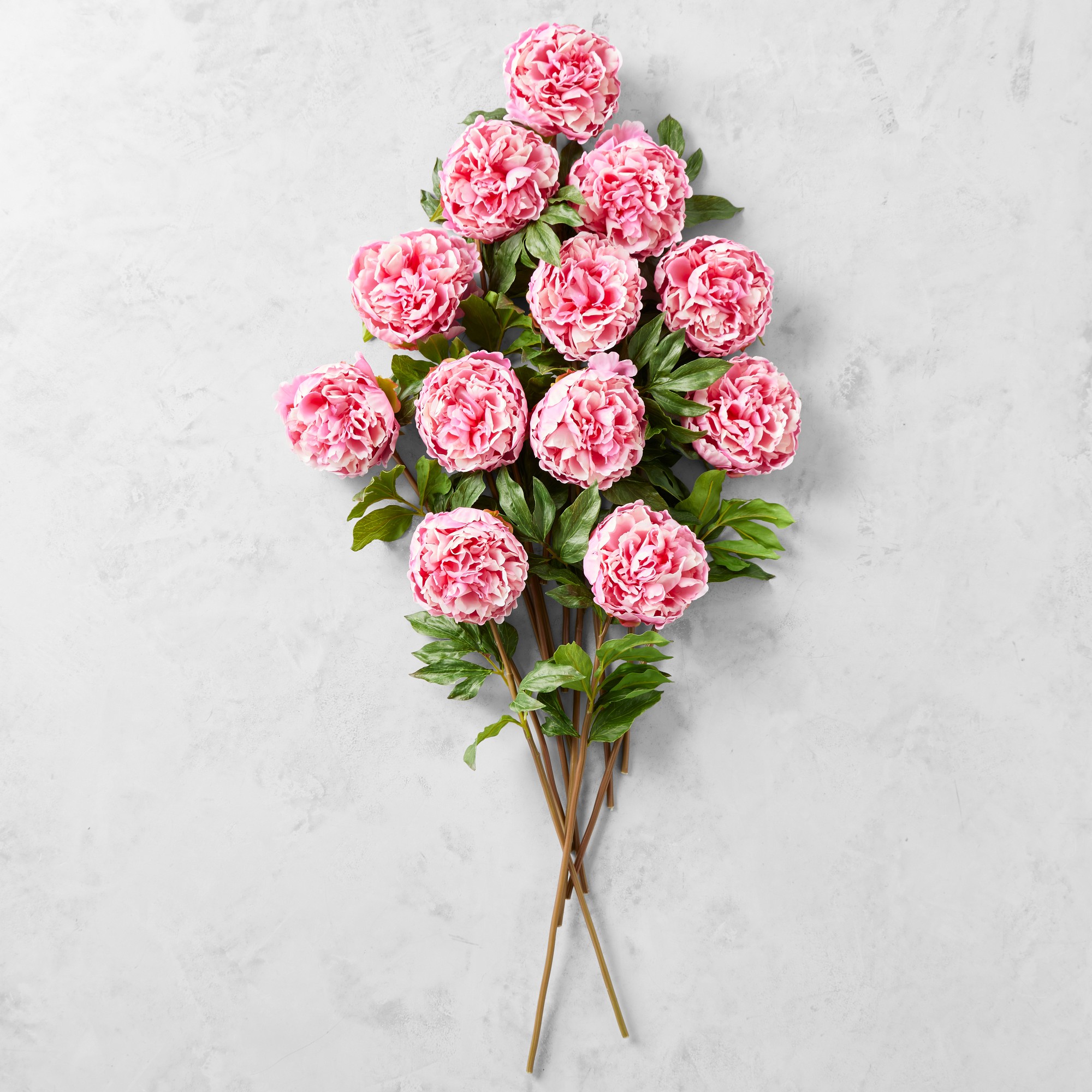 Jeff Leatham x Williams Sonoma Real Touch Faux Pink Peony Stems, Set of 12