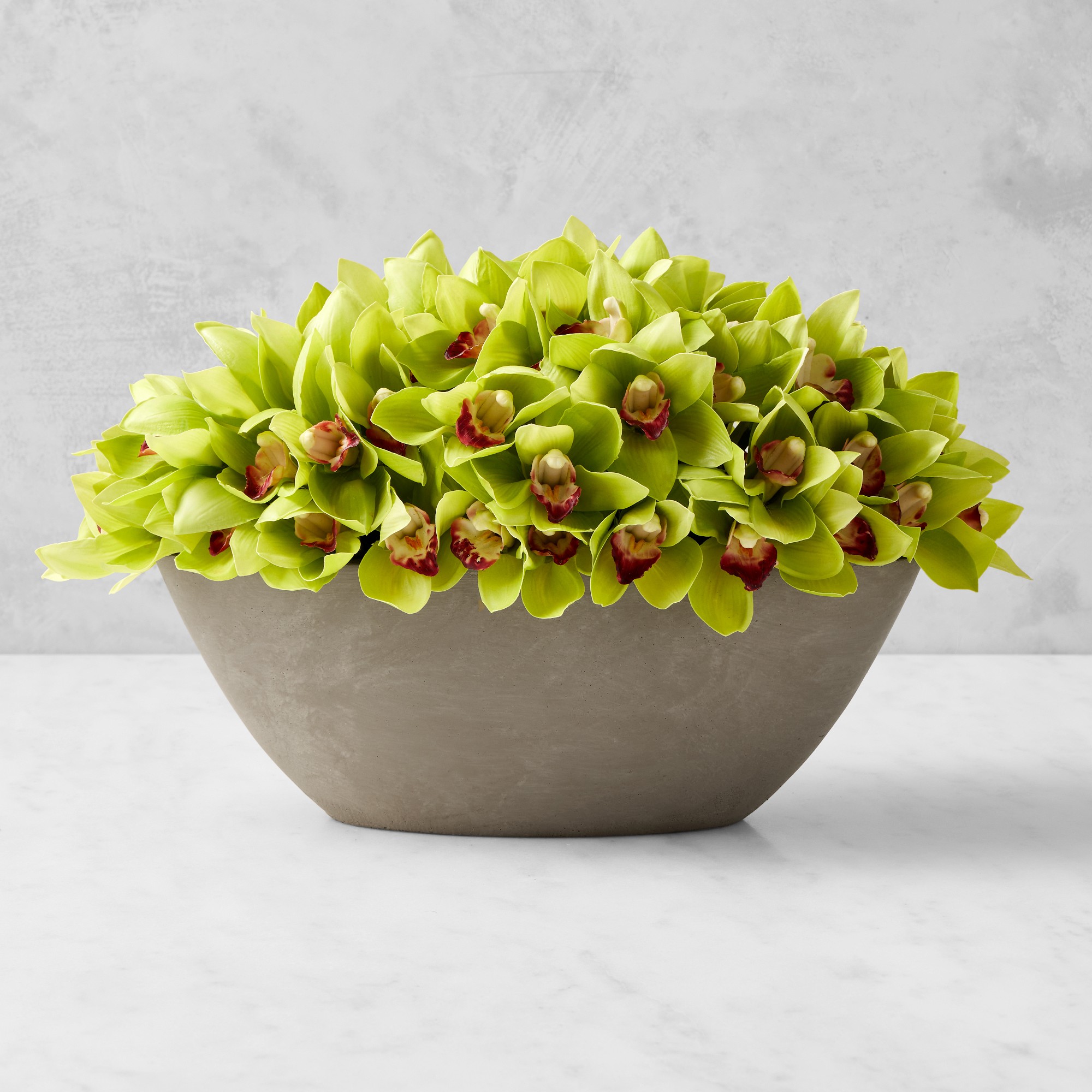 Jeff Leatham x Williams Sonoma Faux Green Cymbidium Orchid in Oval Bowl