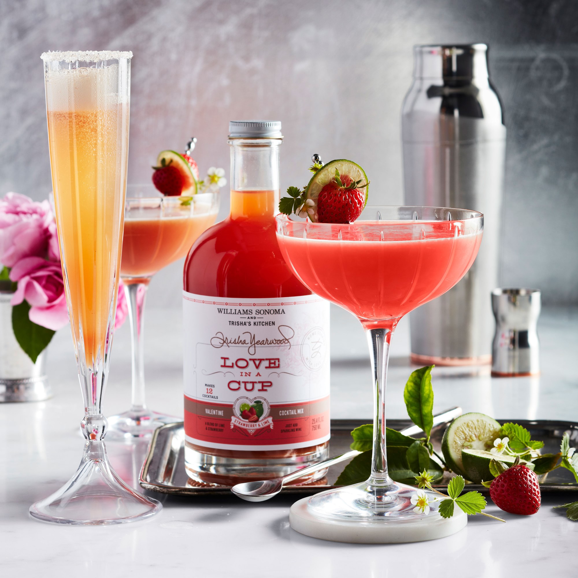 Dorset Champagne Coupe Glasses