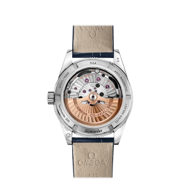 Omega Seamaster Ref. # 233.93.41.21.03.001