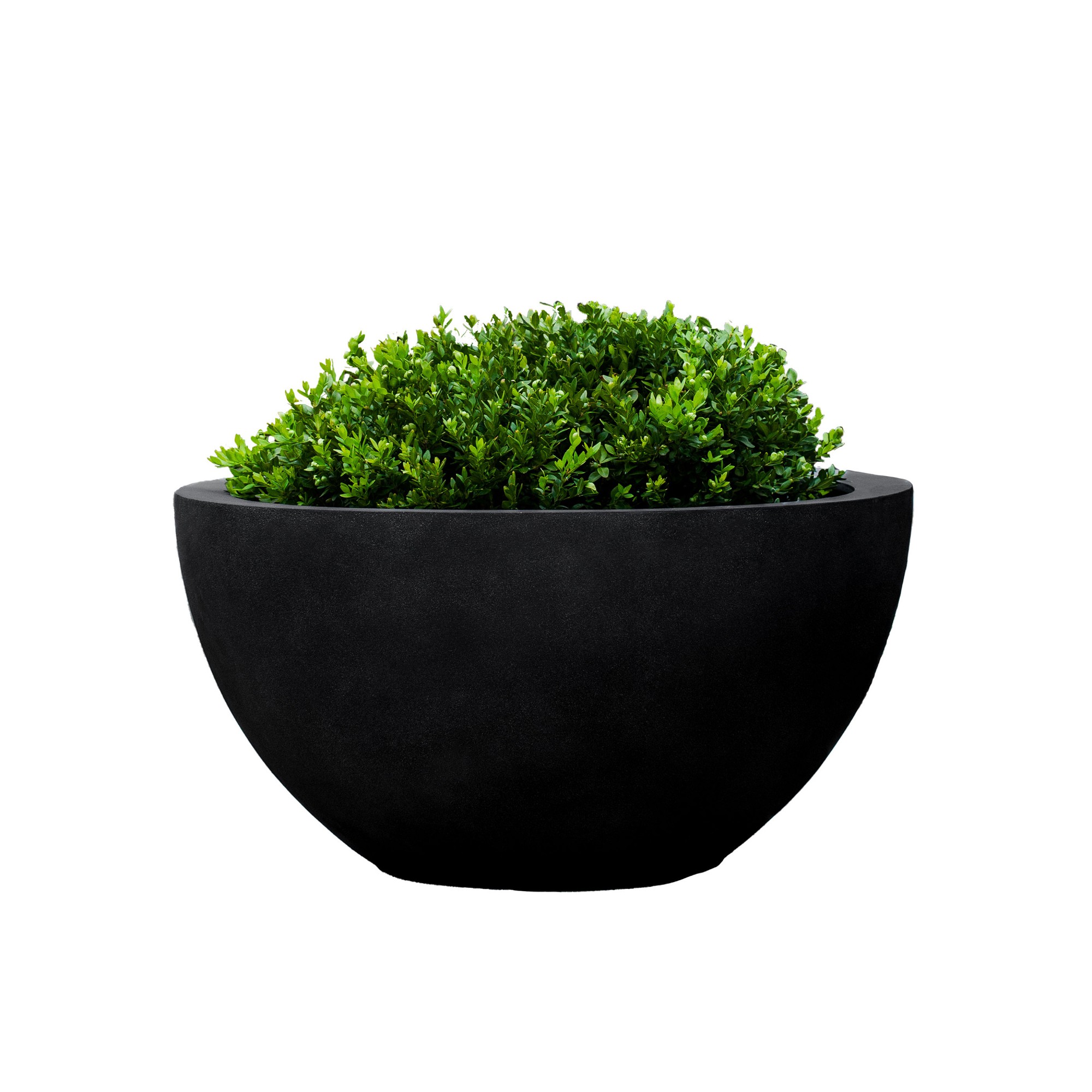 Bradford Planter