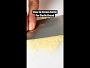 Zwilling Pro Chef's Knife