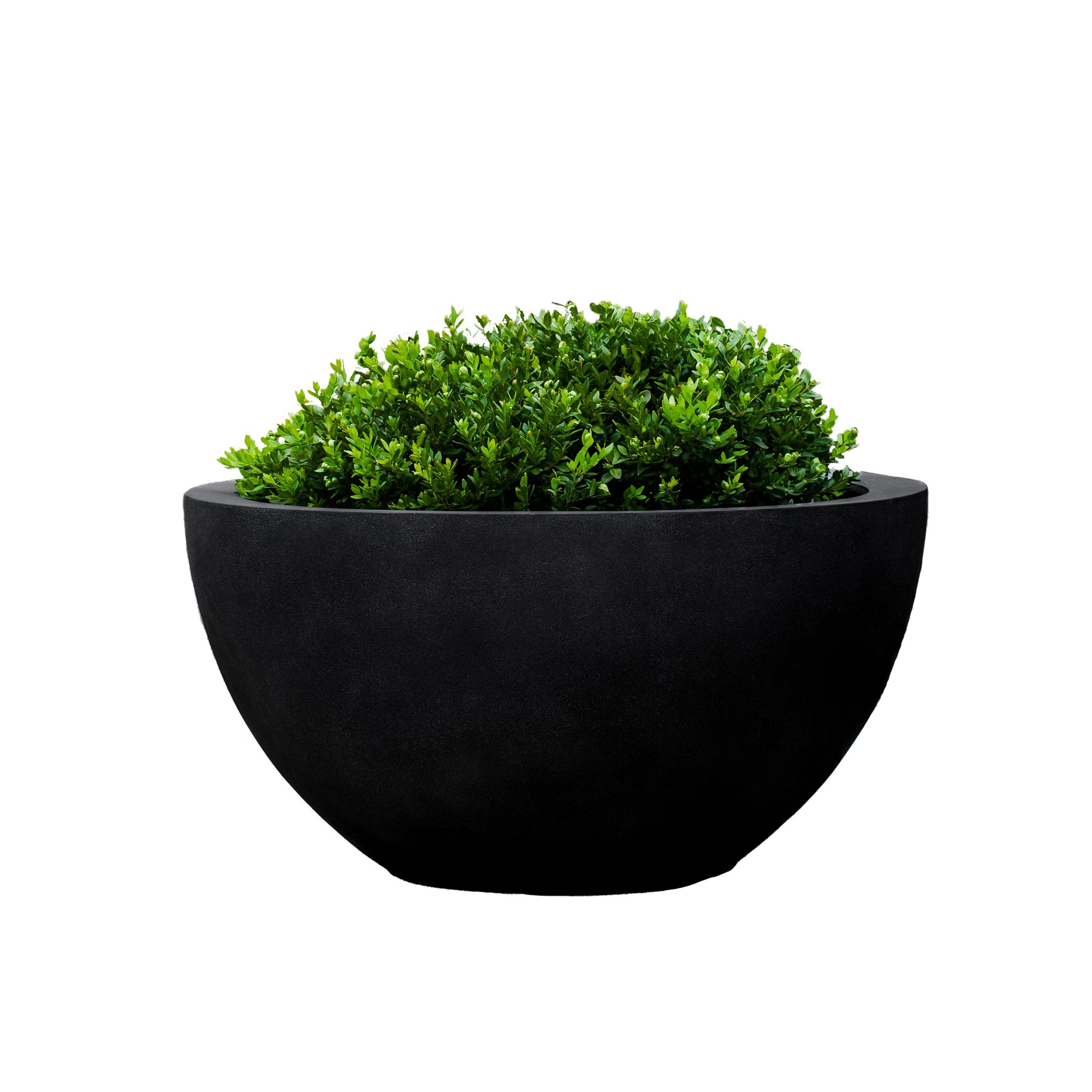 Bradford Planter