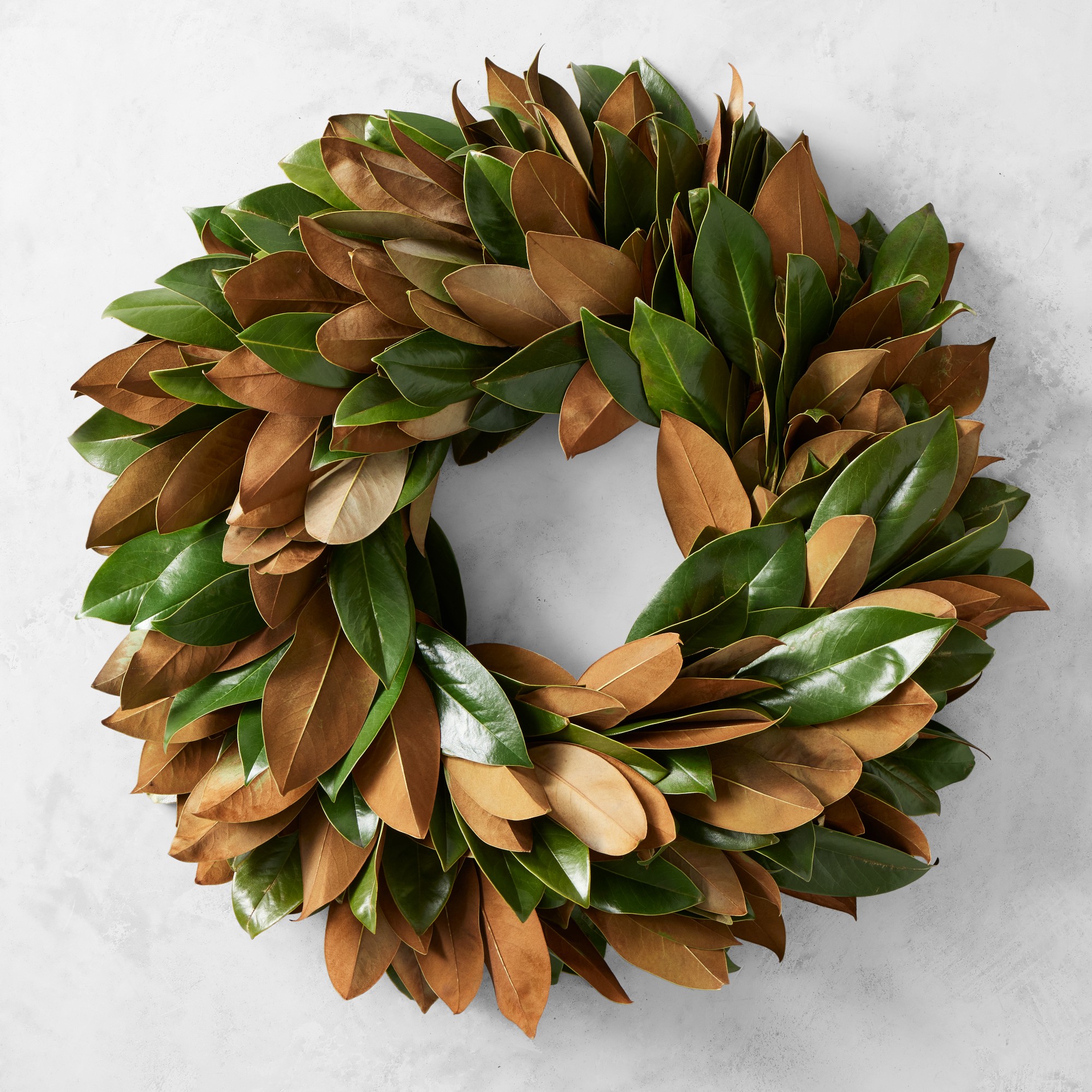 Magnolia Live Wreath & Garland