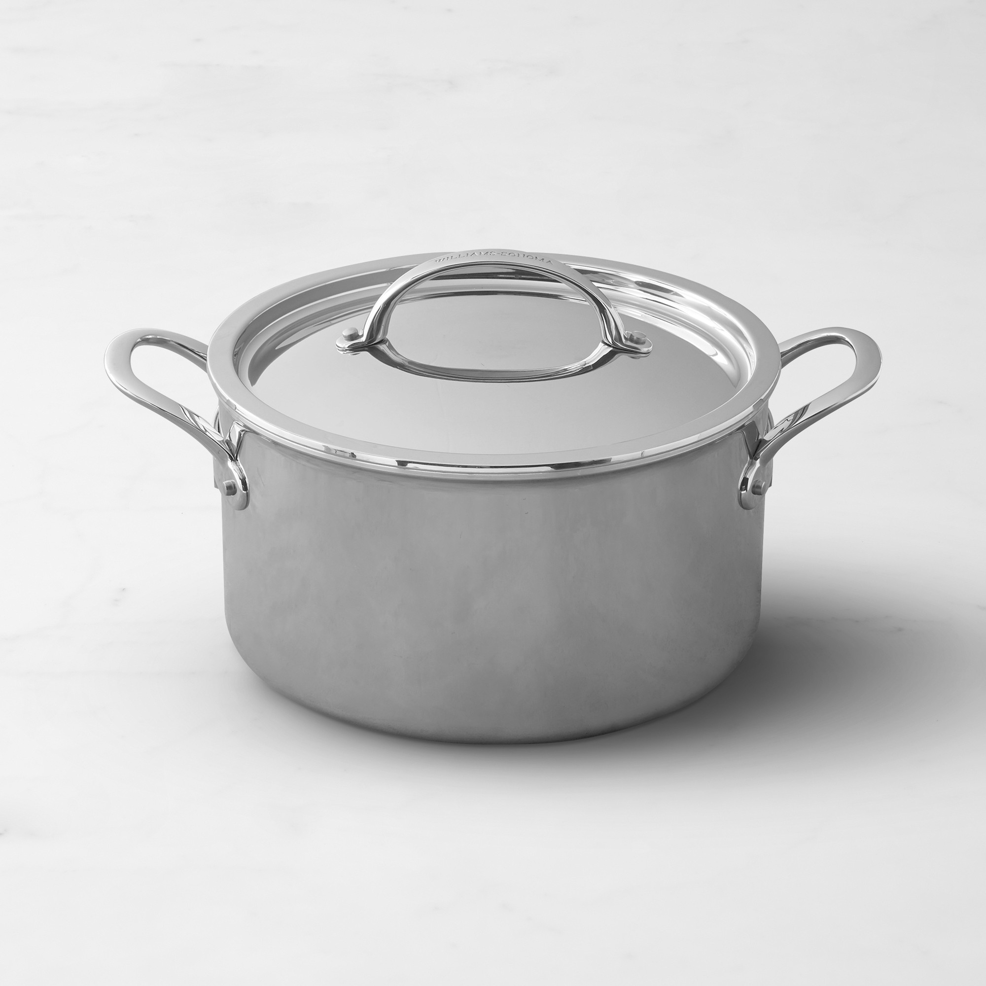 Anova Precision® Cooker 3.0 with Wi-Fi + Williams Sonoma Thermo-Clad Stainless-Steel Stock Pot