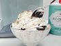 Williams Sonoma Ice Cream Starter, Mint Chip