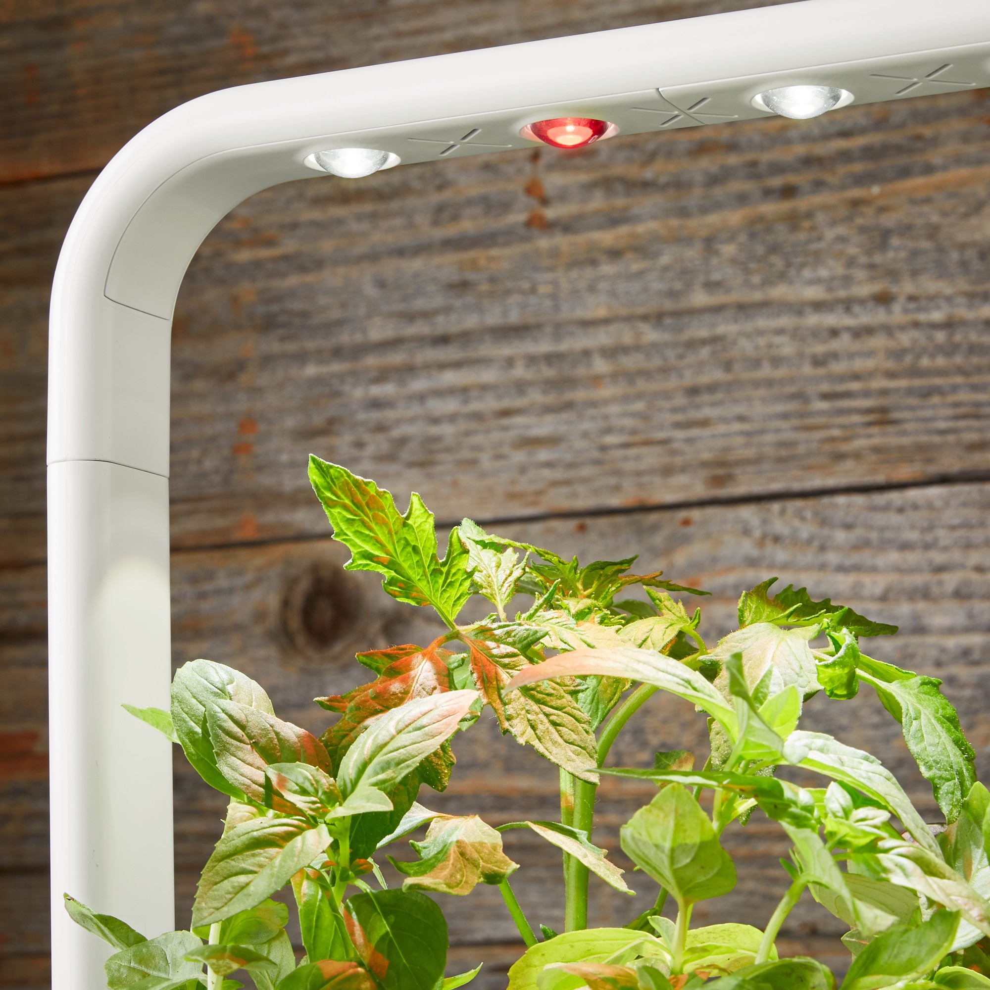 Click & Grow Smart Garden System, 9-Pod, White