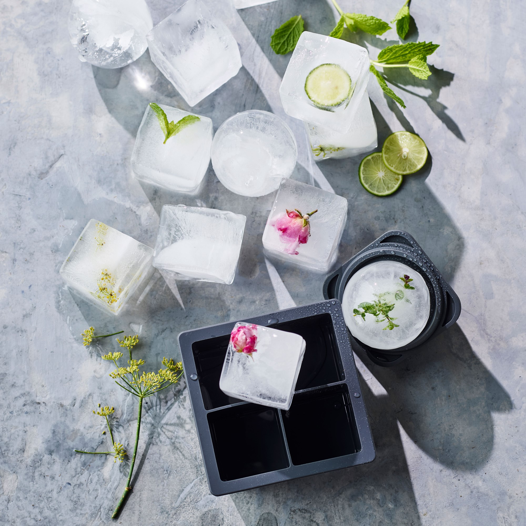 Williams Sonoma Sphere Ice Molds, Set of 2