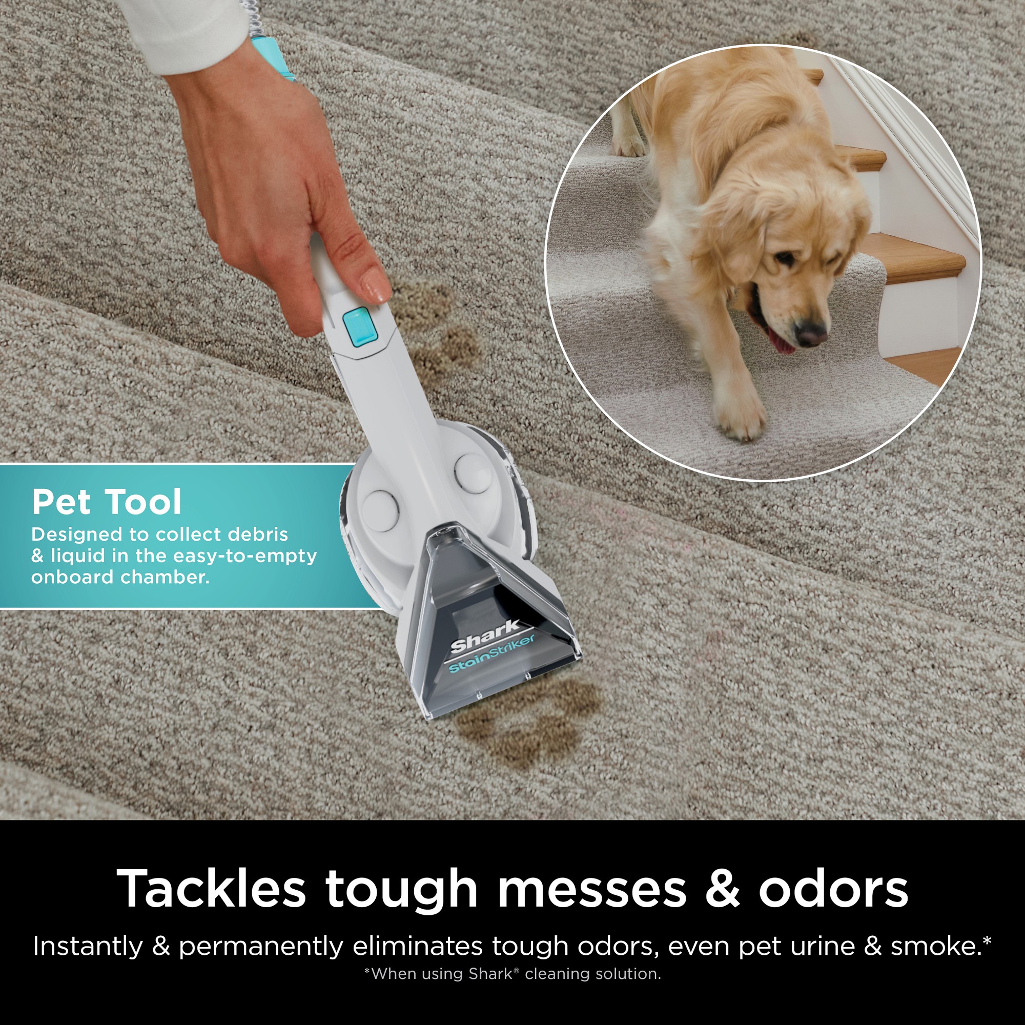 Shark® CarpetXpert™ with Stainstriker™ Upright Deep Carpet Cleaner EX201