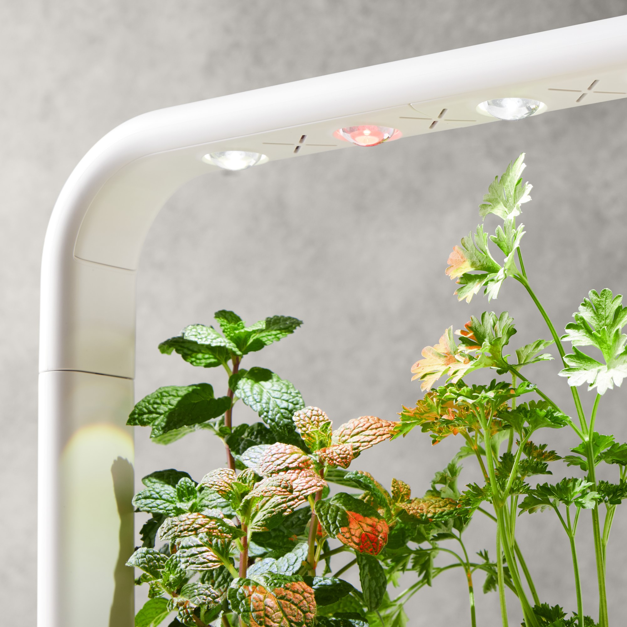 Click & Grow Smart Garden System, 9 Pod, Grey