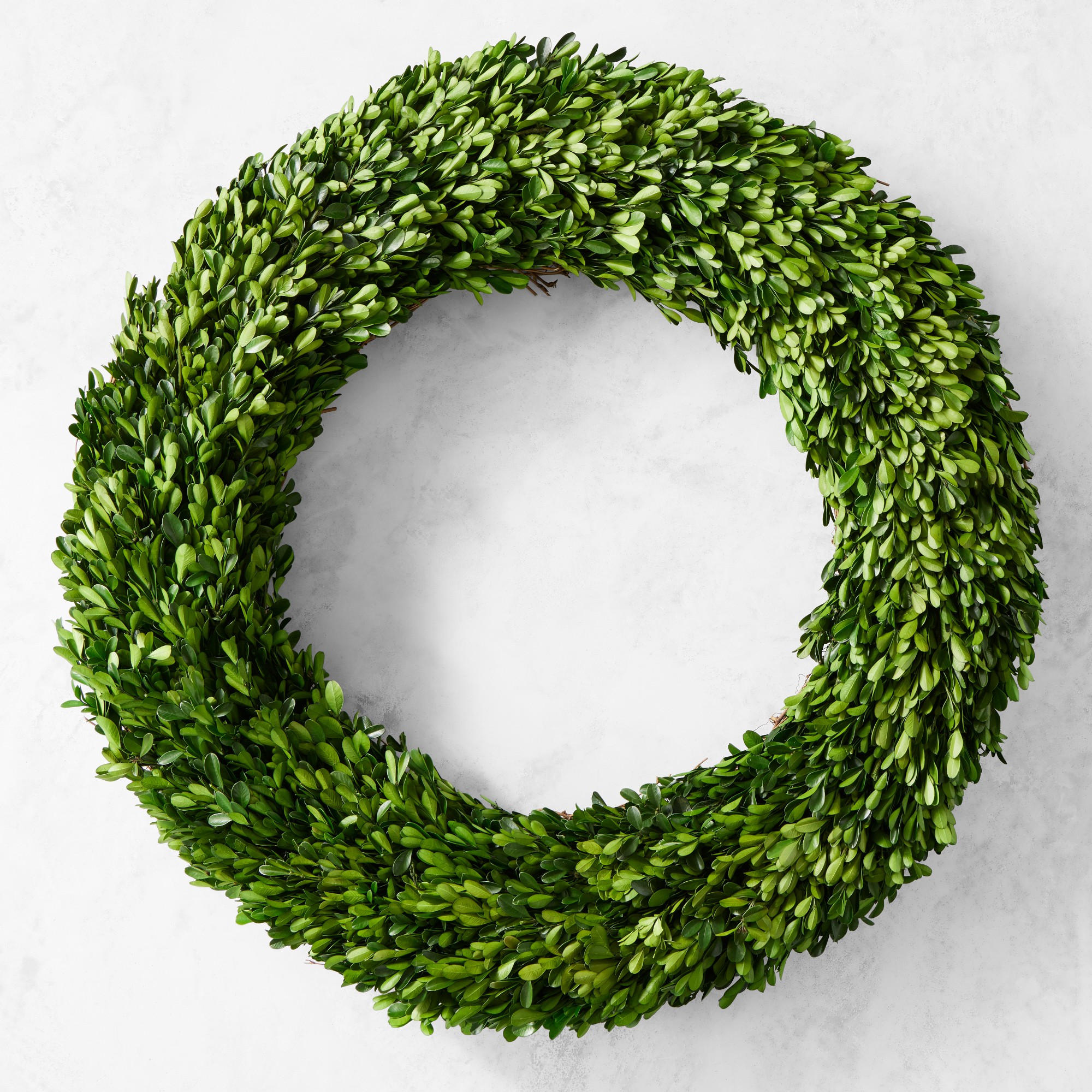 Preserved Boxwood Wreath