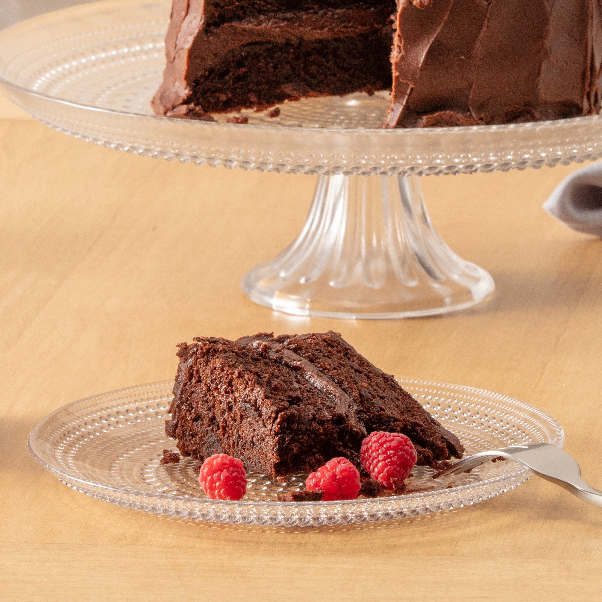 Fortessa Jupiter Dinner Plates, Set of 4