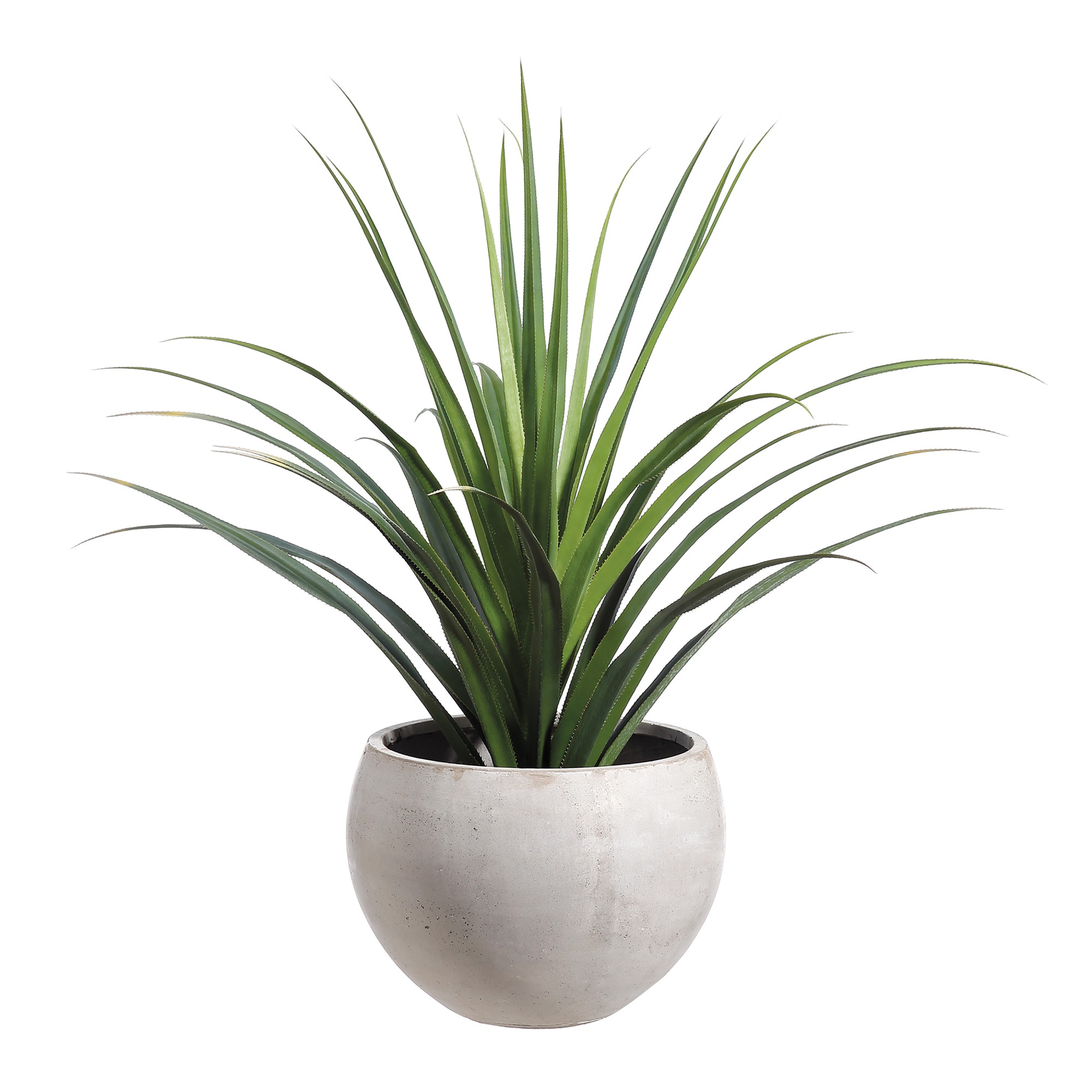 Faux Dracaena Cactus in Cement Planter, 53