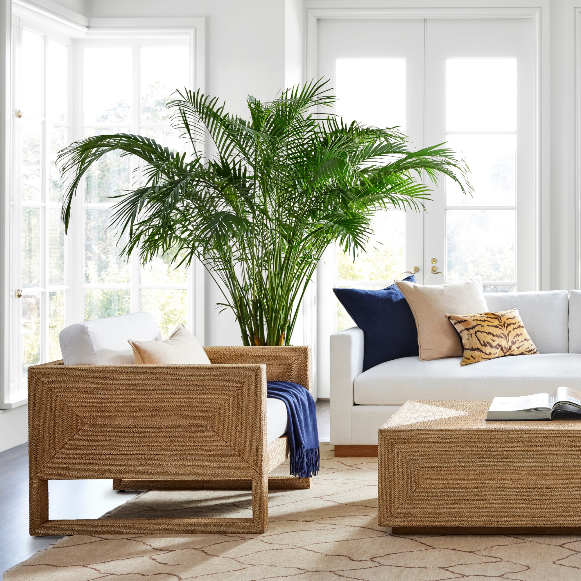 Point Reyes Occasional Chair