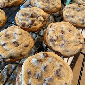 OXO Cookie Scoops