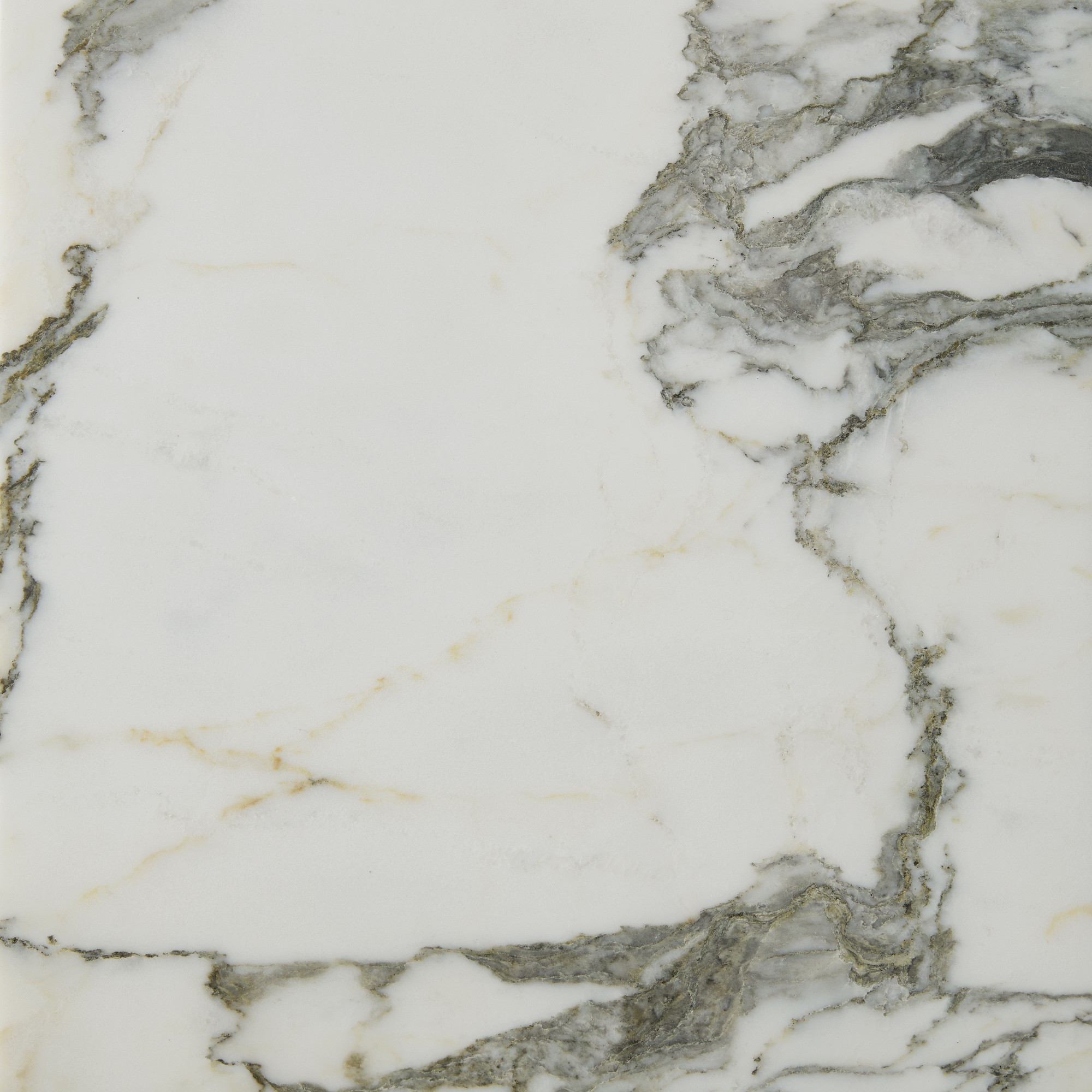 Lucca Arabescato Collection Marble Swatch - Free Returns Within 30 Days